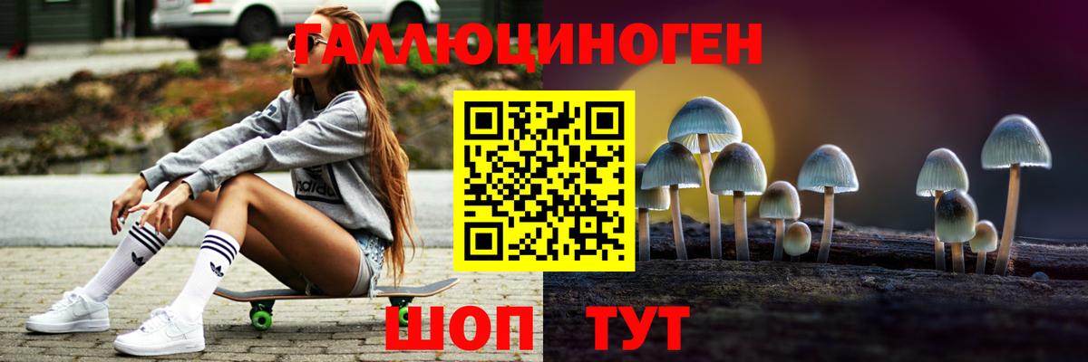 Галлюциногенные грибы ЛСД Сосновый Бор